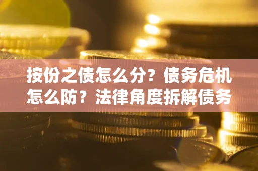 武汉按份之债怎么分？债务危机怎么防？法律角度拆解债务分配与风险自保指南
