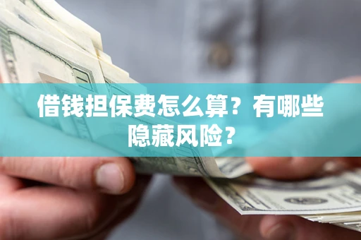 武汉借钱担保费怎么算？有哪些隐藏风险？