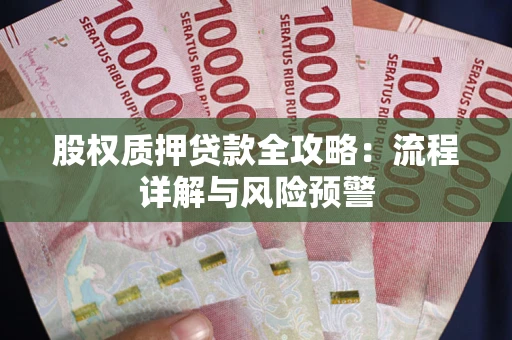 武汉股权质押贷款全攻略：流程详解与风险预警