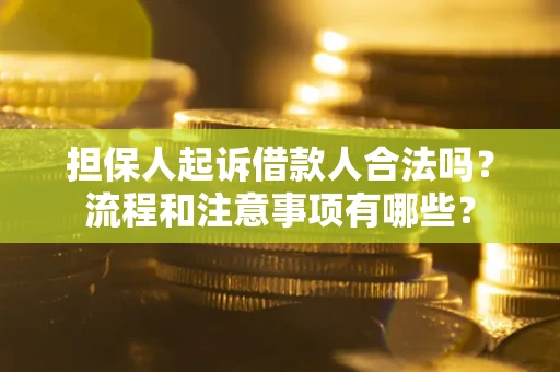 武汉担保人起诉借款人合法吗？流程和注意事项有哪些？