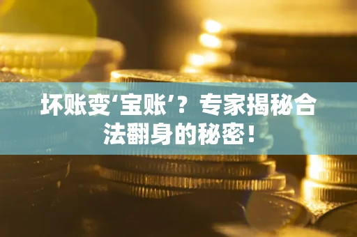 武汉坏账变‘宝账’？专家揭秘合法翻身的秘密！