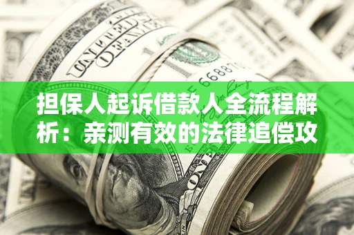 武汉担保人起诉借款人全流程解析：亲测有效的法律追偿攻略