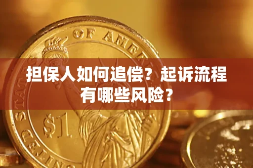 武汉担保人如何追偿？起诉流程有哪些风险？