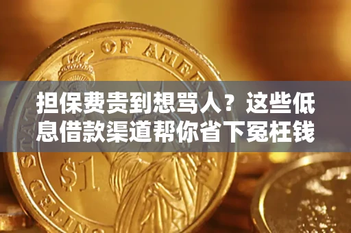 武汉担保费贵到想骂人？这些低息借款渠道帮你省下冤枉钱