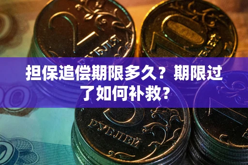 武汉担保追偿期限多久？期限过了如何补救？