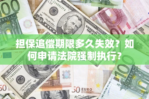武汉担保追偿期限多久失效？如何申请法院强制执行？