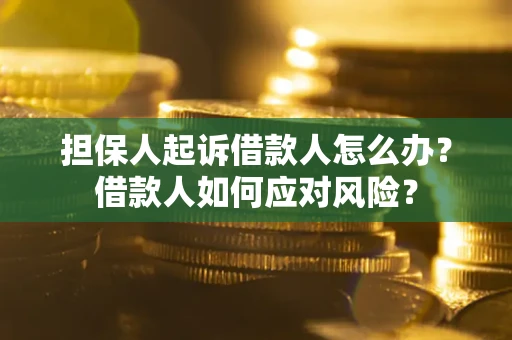 武汉担保人起诉借款人怎么办？借款人如何应对风险？