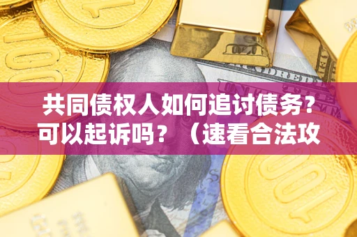 武汉共同债权人如何追讨债务？可以起诉吗？（速看合法攻略）