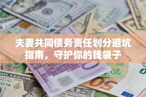武汉夫妻共同债务责任划分避坑指南，守护你的钱袋子