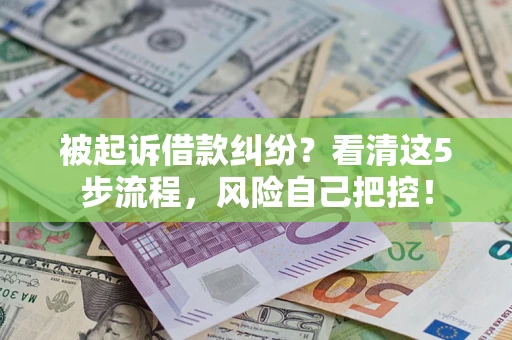 武汉被起诉借款纠纷？看清这5步流程，风险自己把控！