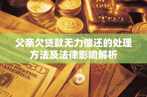 武汉父亲欠贷款无力偿还的处理方法及法律影响解析