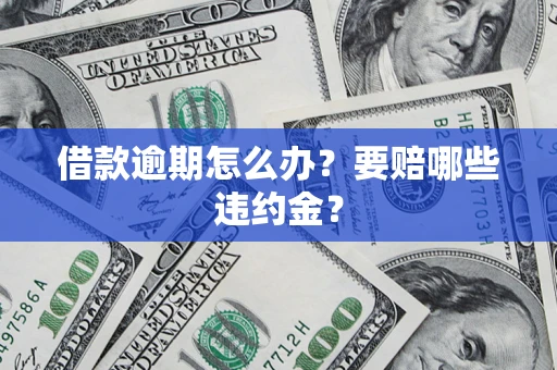 武汉借款逾期怎么办？要赔哪些违约金？