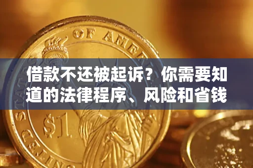武汉借款不还被起诉？你需要知道的法律程序、风险和省钱技巧